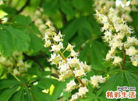 唯美好听的高贵微信名，高雅有内涵的微信名字