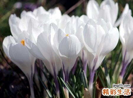 优雅高贵好听的微信昵称，简单不俗气接地气的微信名