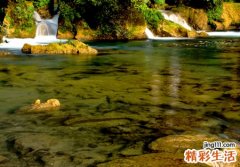 做梦梦到死人