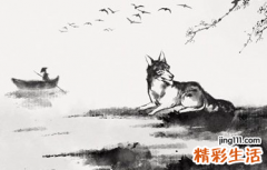 属狗的今日运势更新,属狗综合运势查询表