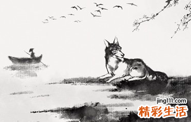 属狗的今日运势更新,属狗综合运势查询表