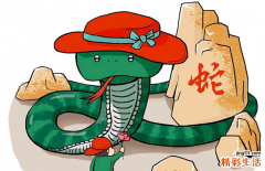 2022年属蛇人运势,2022年属蛇人整体运势