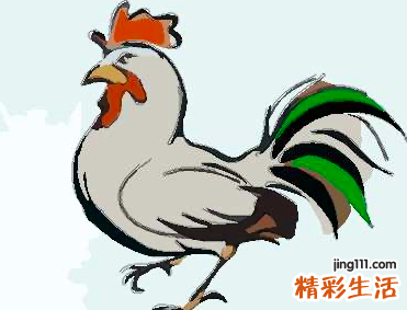 1993年鸡运势,1993年鸡2022综合运势