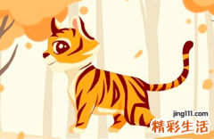 74年虎男每月运势,74年属虎男财运和命运