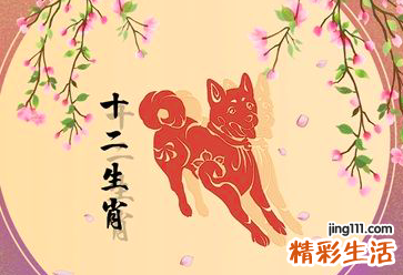 力五行属什么 狗五行属什么命