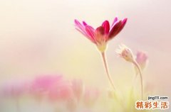 2022年2月份结婚黄道吉日查询表 2022年2月适合结婚的日子