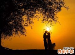 猴和鸡的婚姻好吗，男猴女鸡能白头偕老吗