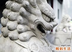 石狮子忌讳什么生肖，石狮子和哪个生肖相冲