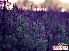 古风韵味的文艺网名，罕见古风超美的唯美昵称