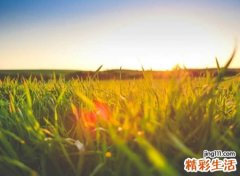 一字开头有诗意的古风昵称，带一字的唯美文艺名字