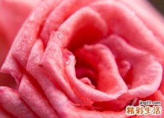 梦见撞死人是怎么回事