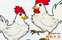 2022年生男孩的生肖女 2022年必定生儿子的生肖