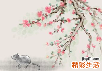 2022属鼠的今年多大 属鼠在2022年的运程是怎么样