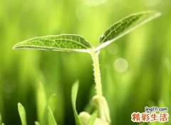 百听不厌好听能火的抖音名字，唯美网名素衣白裙清浅微笑