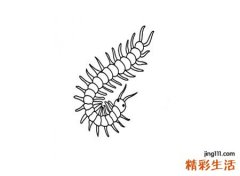 梦见蜈蚣爬上身，梦到一只特别大的蜈蚣预示着什么