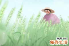 2022小满是哪一天什么时间 2022小满是什么季节