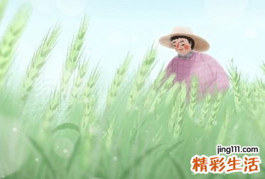 2022小满是哪一天什么时间 2022小满是什么季节