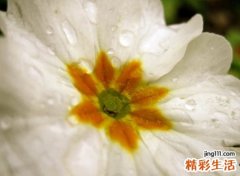 现在比较流行的文艺昵称，简单和谐好听的古风网名