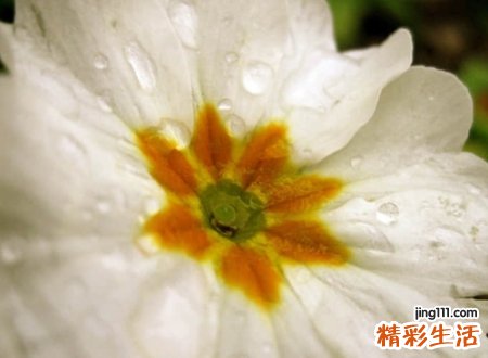 现在比较流行的文艺昵称，简单和谐好听的古风网名