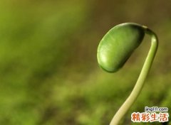 简单好听最吸引人的微信名，最火最有诱惑力的微信网名