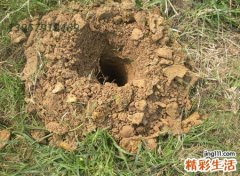 梦见挖坑是什么预兆，梦到别人挖坑预示什么