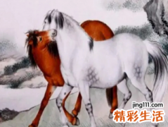 2022年属马几月份可以结婚 2022年属马的适合结婚吗