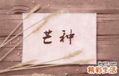 芒种是干什么的节日 芒种节气的特点和风俗