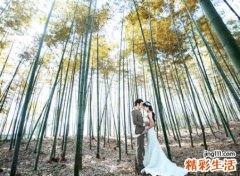 27岁属什么生肖相配，27岁属鸡的人配属什么的好