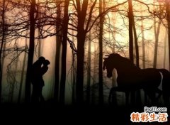 男狗女猴的婚姻怎么样，男狗女猴生个属什么的宝宝好