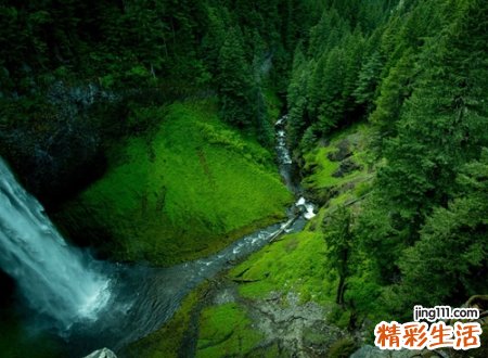 充满诗意的文艺小清新网名，罕见古风复古的微信昵称