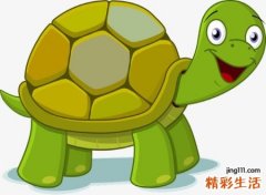 梦见乌龟很凶要咬人，做梦梦到乌龟咬人但没咬到