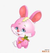 87属兔的本月运势 属兔综合运势如何？