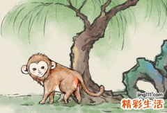 属猴人今天运势如何 属猴的今天运势运程如何