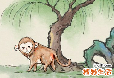 属猴人今天运势如何 属猴的今天运势运程如何