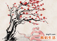 1977年的运势 1977年一生综合命运如何