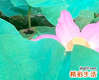 2022年7月份动工黄道吉日 2022年7月份宜动工的日子