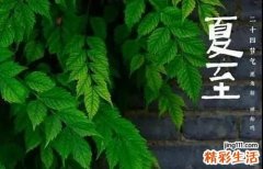 夏至是入伏的第一天吗 夏至是入伏的意思吗