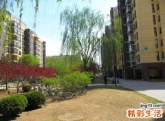 属狗的住几楼最吉利，哪层楼最旺生肖属狗的人