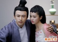 马和狗属相合不合，马和狗为什么老吵架