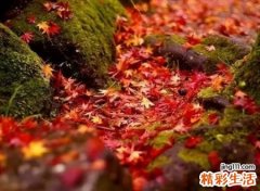 低调又不俗气的微信名，成熟有内涵的微信名字