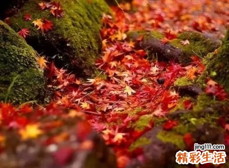 低调又不俗气的微信名，成熟有内涵的微信名字
