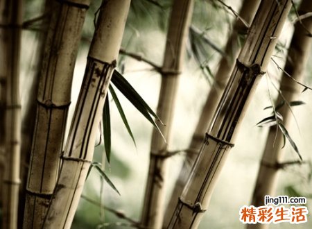 最好听简单有深意的微信名，今年最火最吸引人的微信网名