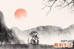 鼠人今天运势 属鼠的人今年运势如何