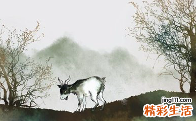 79年属羊人今年运势 79年属羊的2022年的命运怎么样