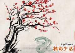 89年出生的运势 1989年出生的2022年运势