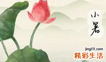 小暑吃什么传统食物 小暑的饮食禁忌有哪些