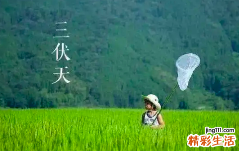 初伏是几月几号2022年 每年的初伏是根据什么确定的