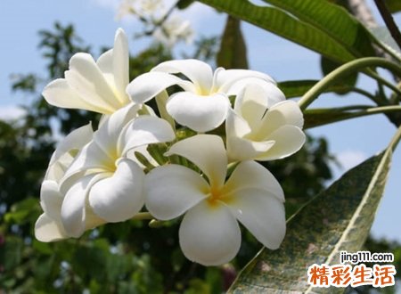 时尚经典的微信网名，2020最好听的微信个性昵称