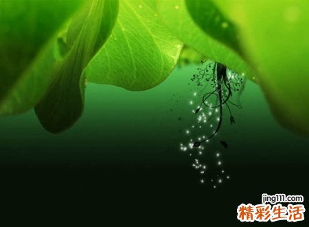 富有哲理的快手昵称，深奥难懂的快手哲理网名
