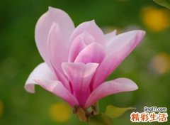 温暖又温馨的抖音网名，抖音很火很有情调的个性名字